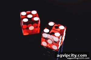 AG真人 agvipcity